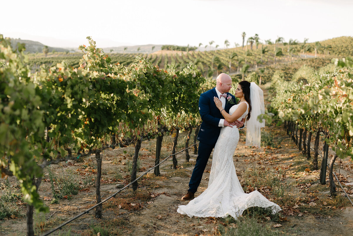 Vineyard Wedding Falkner Winery Temecula Wedding-4