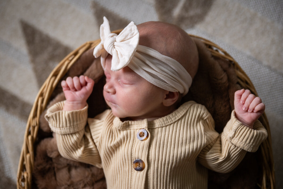 newborn session, alyssa michel photography, love, baby boy, baby girl, rustic, cow print, country, ct photogtspher