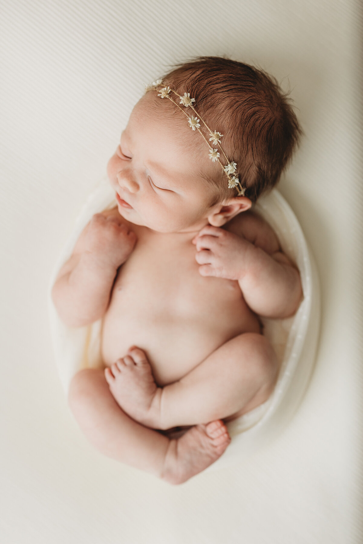 kingsport.newborn.photographer.ellie