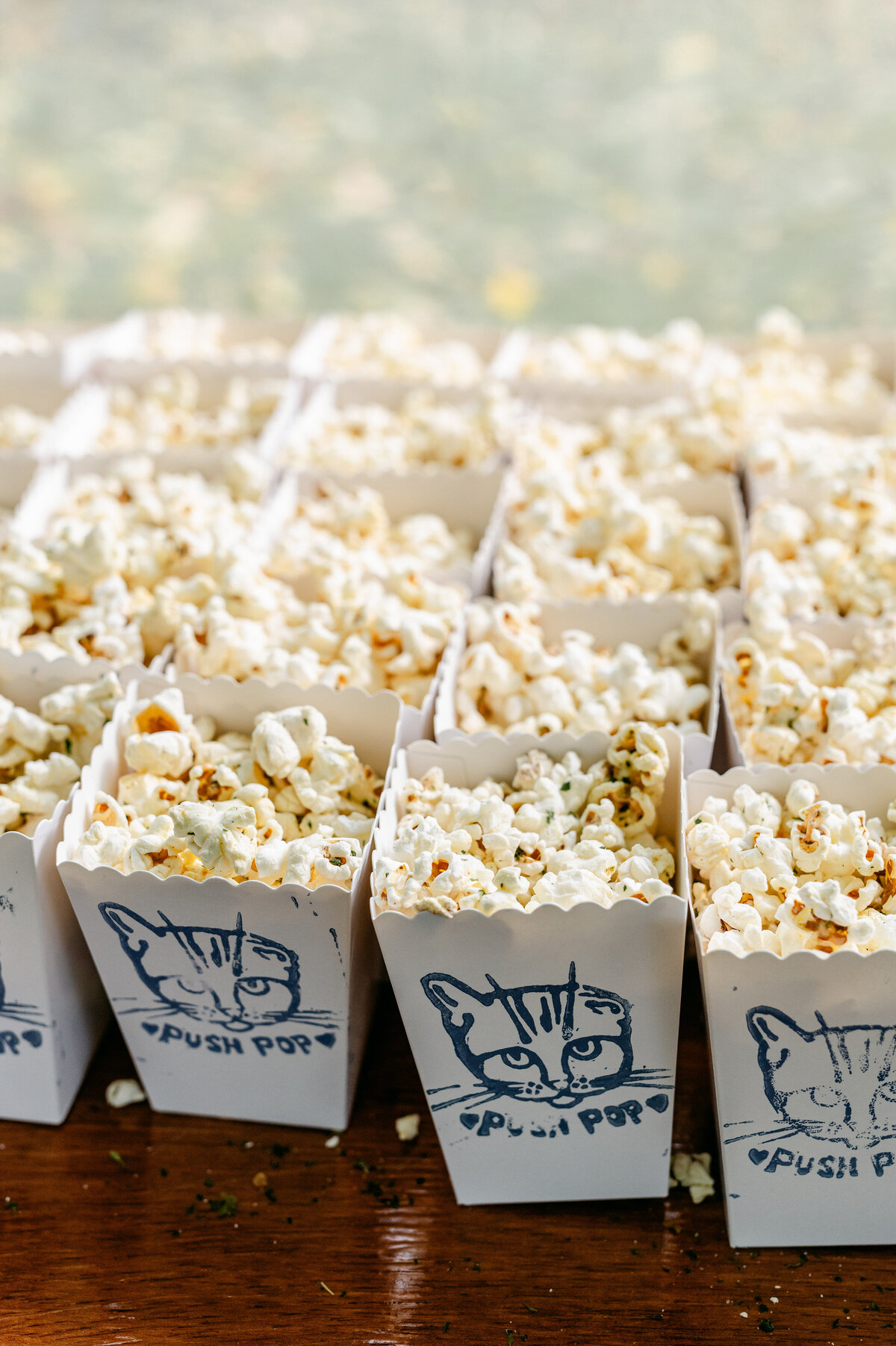 Close up of popcorn with cat art on the boxes