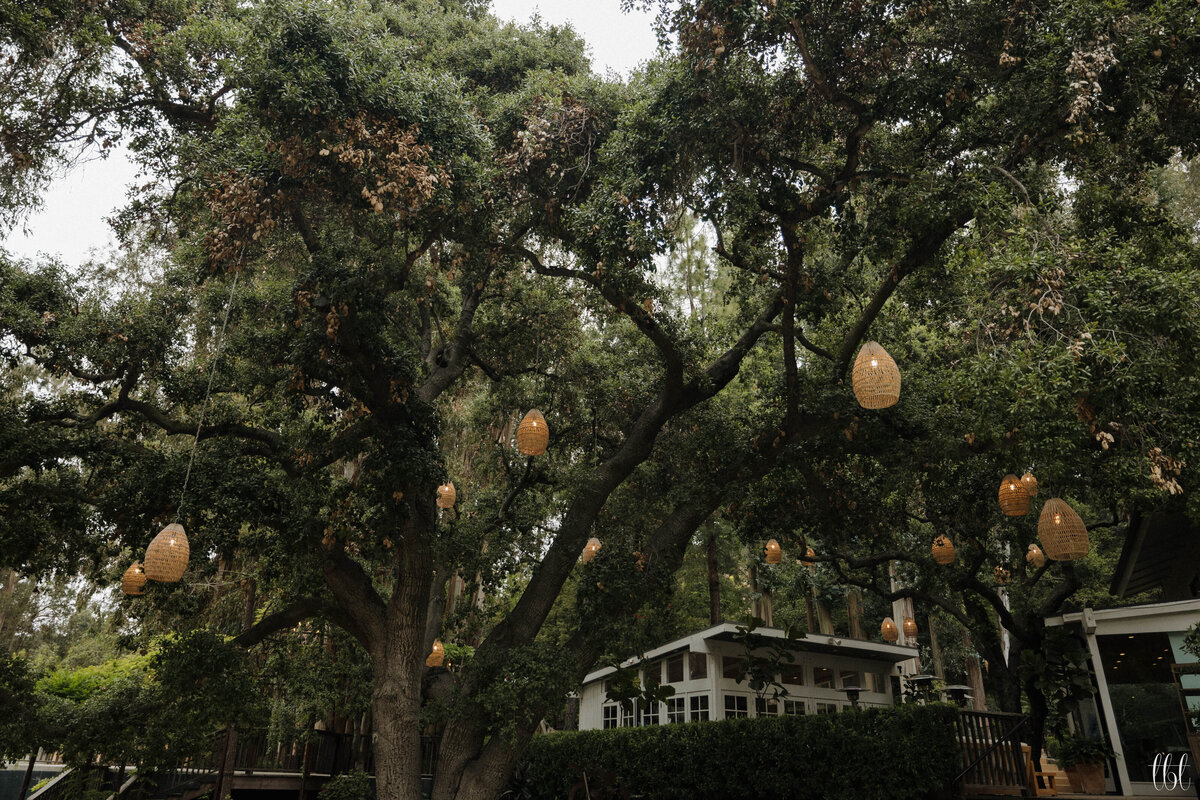 FayeFernCreative-CalamigosRanch-Wedding-Redwood-Ceremony-AM-199
