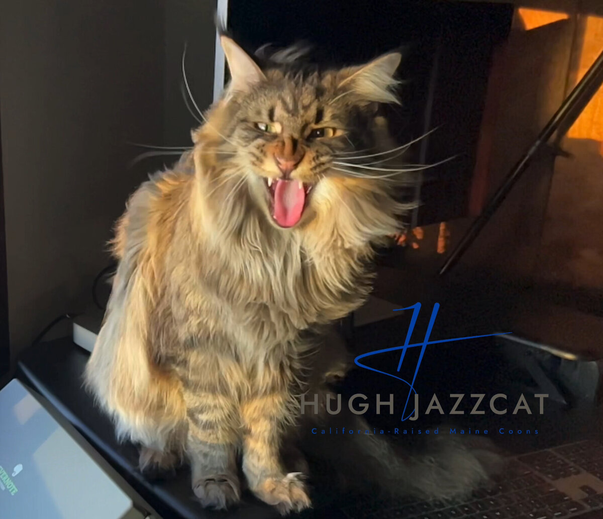 044D27ED-6CD8-43ED-ACED-2AA92D83B4B1_1_201_a