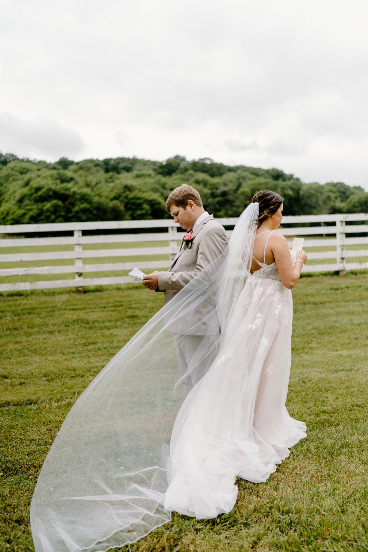 nolensville, tennessee backyard wedding