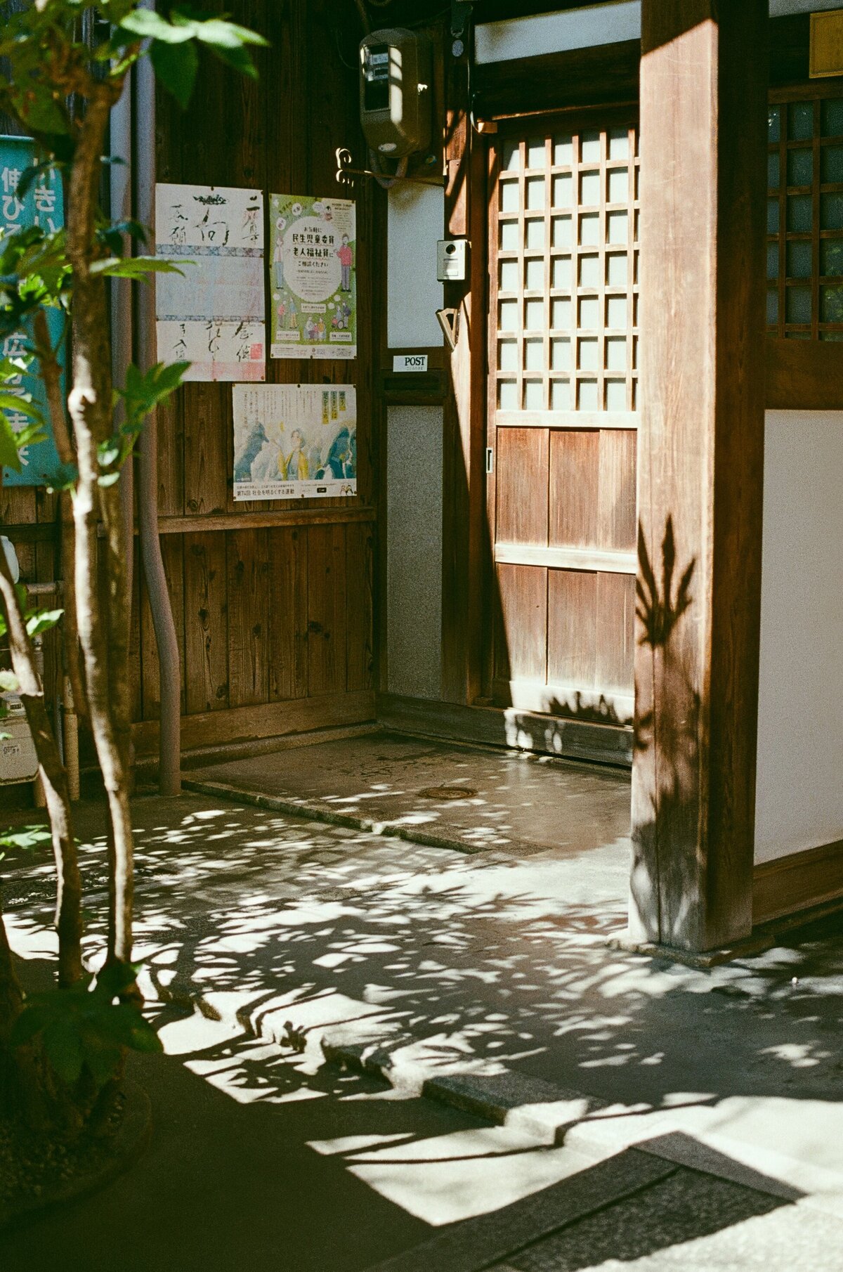 Rainstone Photography 241031 Japan & Seoul Trip-21