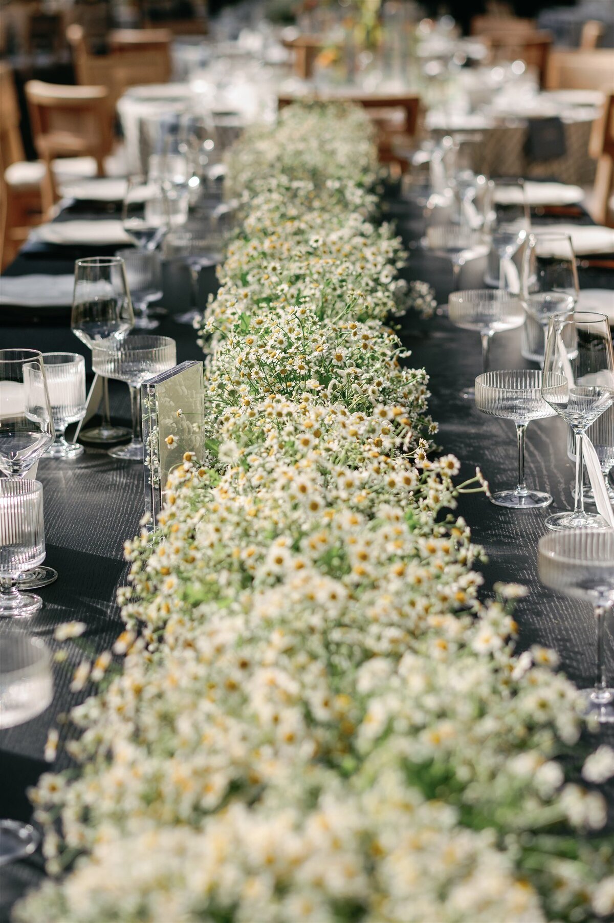 JessRex_Wedding0896