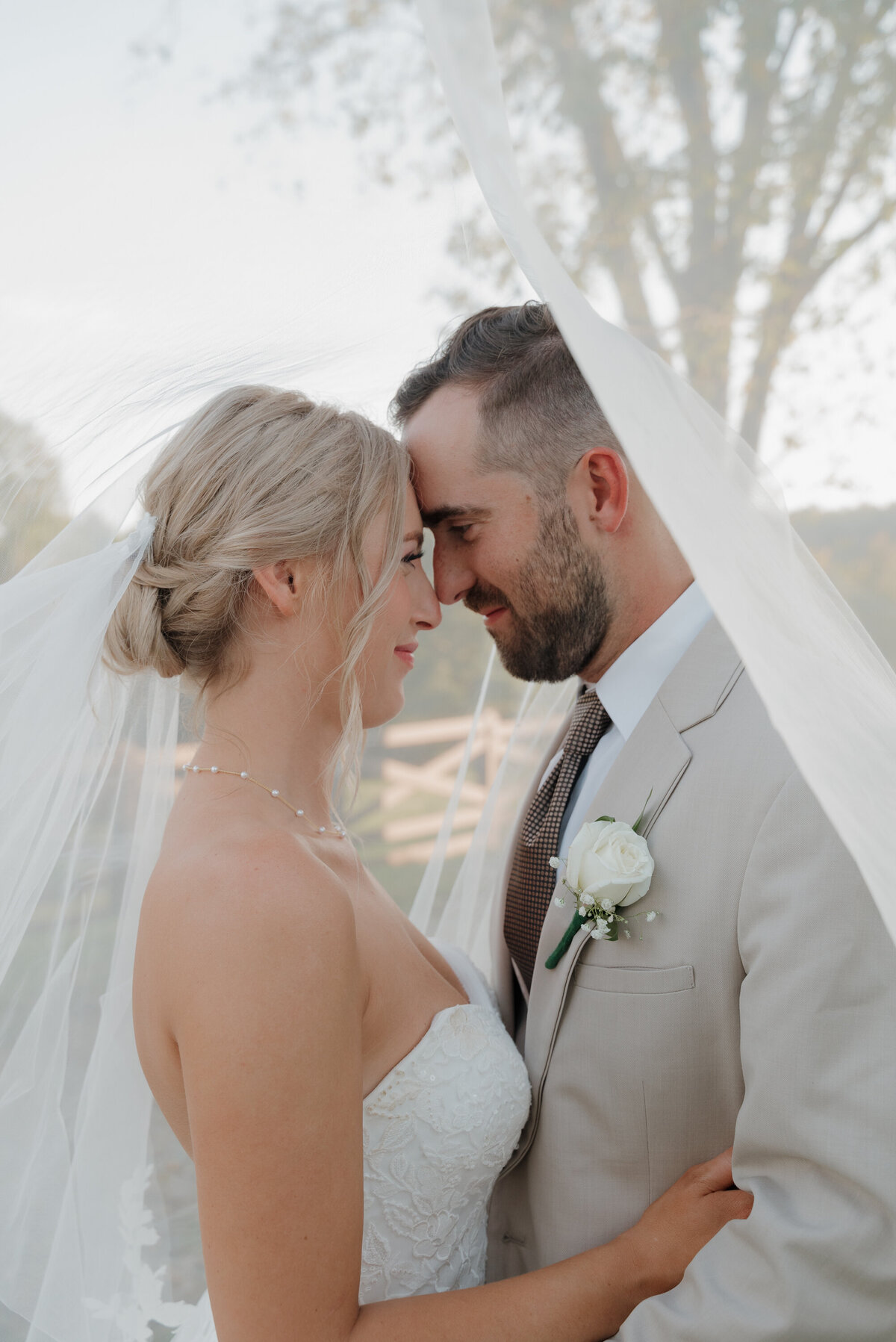 veil shot