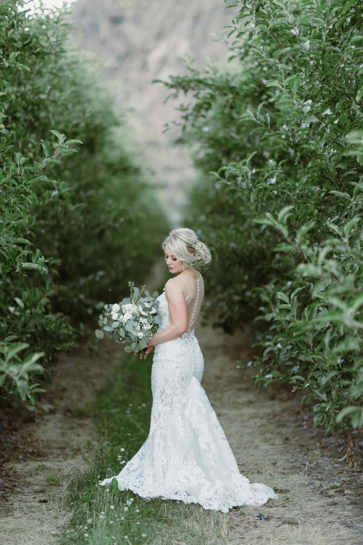 Wedding in Lake Chelan Washington - Tony Asgari Photography