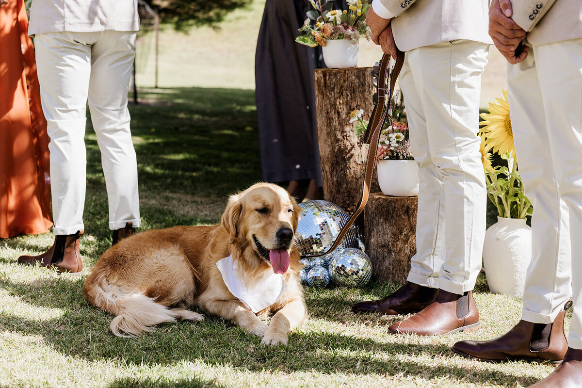 Jess and Ben - 28.02.2025 - JessicaCarrollPhotographer-326_websize