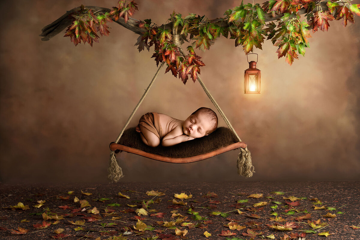 Phillipsburg-New-Jersey-Best-Newborn-Photographer-Digital-Fall-tree