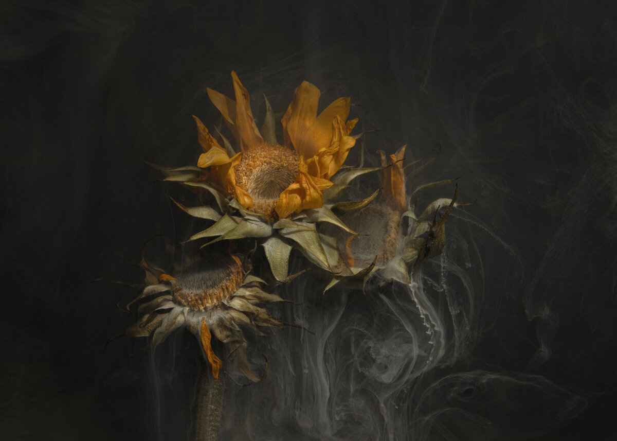 Withering, a floral photograph by Chasity Rozell, an award-winning photographer and artist from Edmond, Oklahoma. This image received a Silver Medal in the 2024 International Print Competition, showcasing Chasity’s creativity and fine art photography. As a competitive photographer based in Oklahoma City, Chasity’s work blends artistic vision with technical mastery, earning recognition in prestigious international photography competitions. 