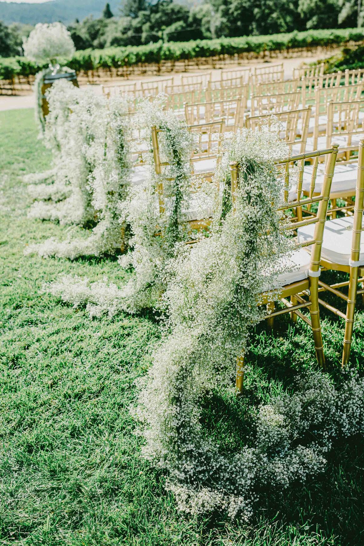 chateau st jean winery wedding ceremony l hewitt photography (3)