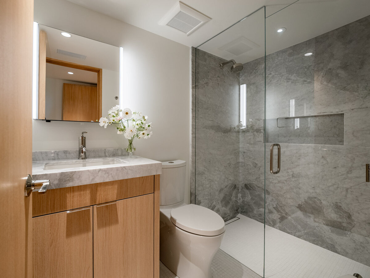 MLS - 51 Roaring Fork Road - Aspen, CO-35