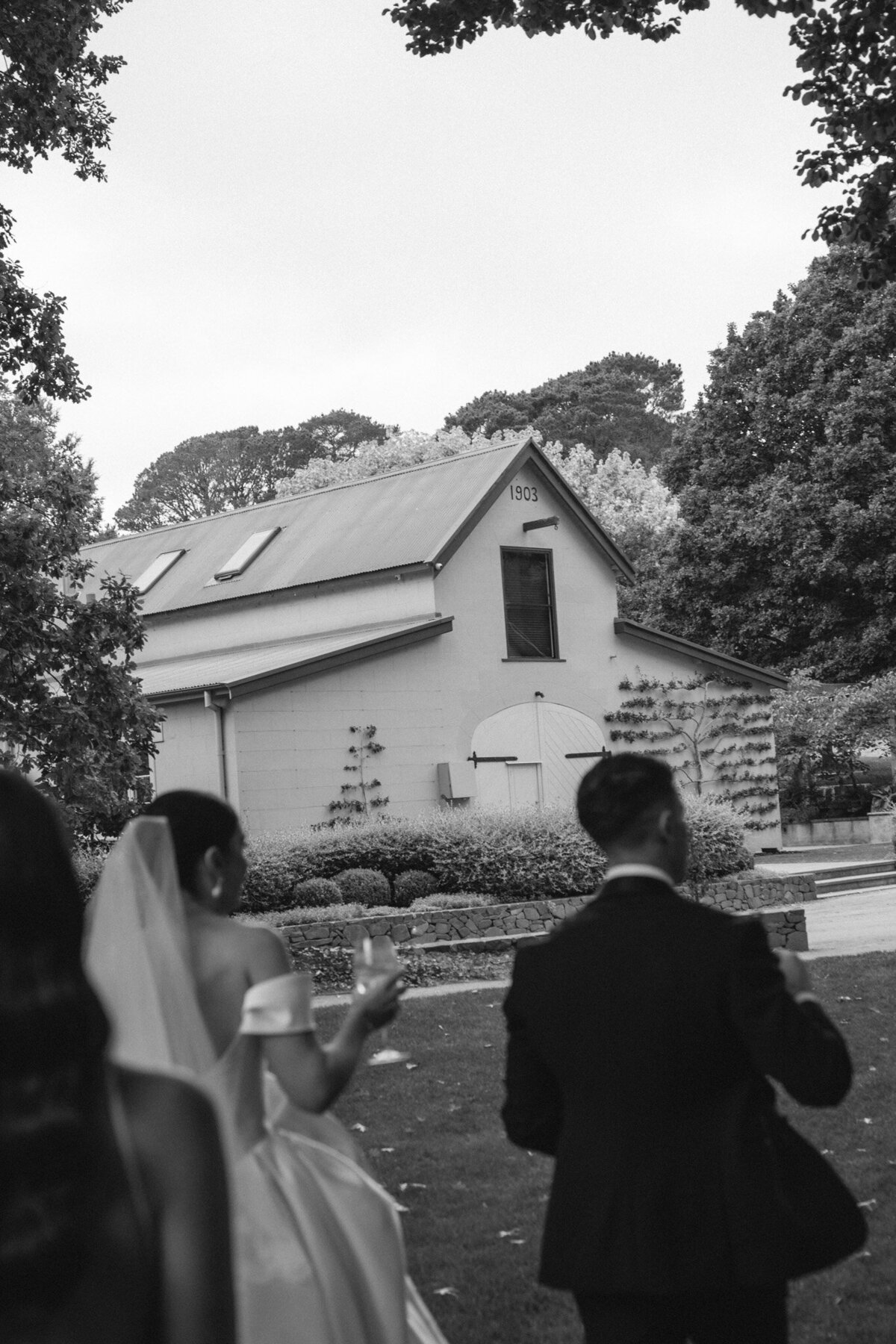 DSC08884-3