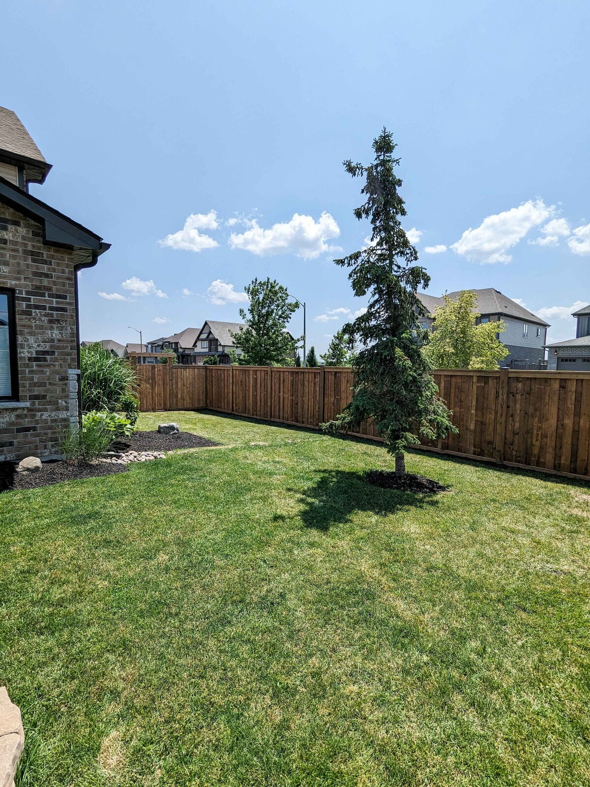 PXL_20230621_181812663-2