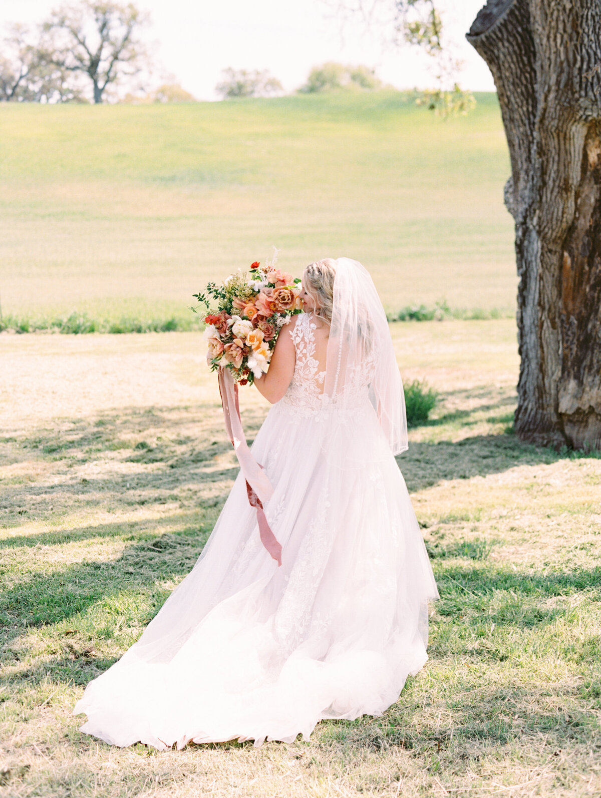 Willow-and-Oak-Estate-Wedding-Venue-Paso-Robles-California-Ashley-Rae-Studio-218