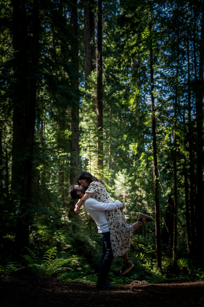 Engagement Sessions in Ferndale CA