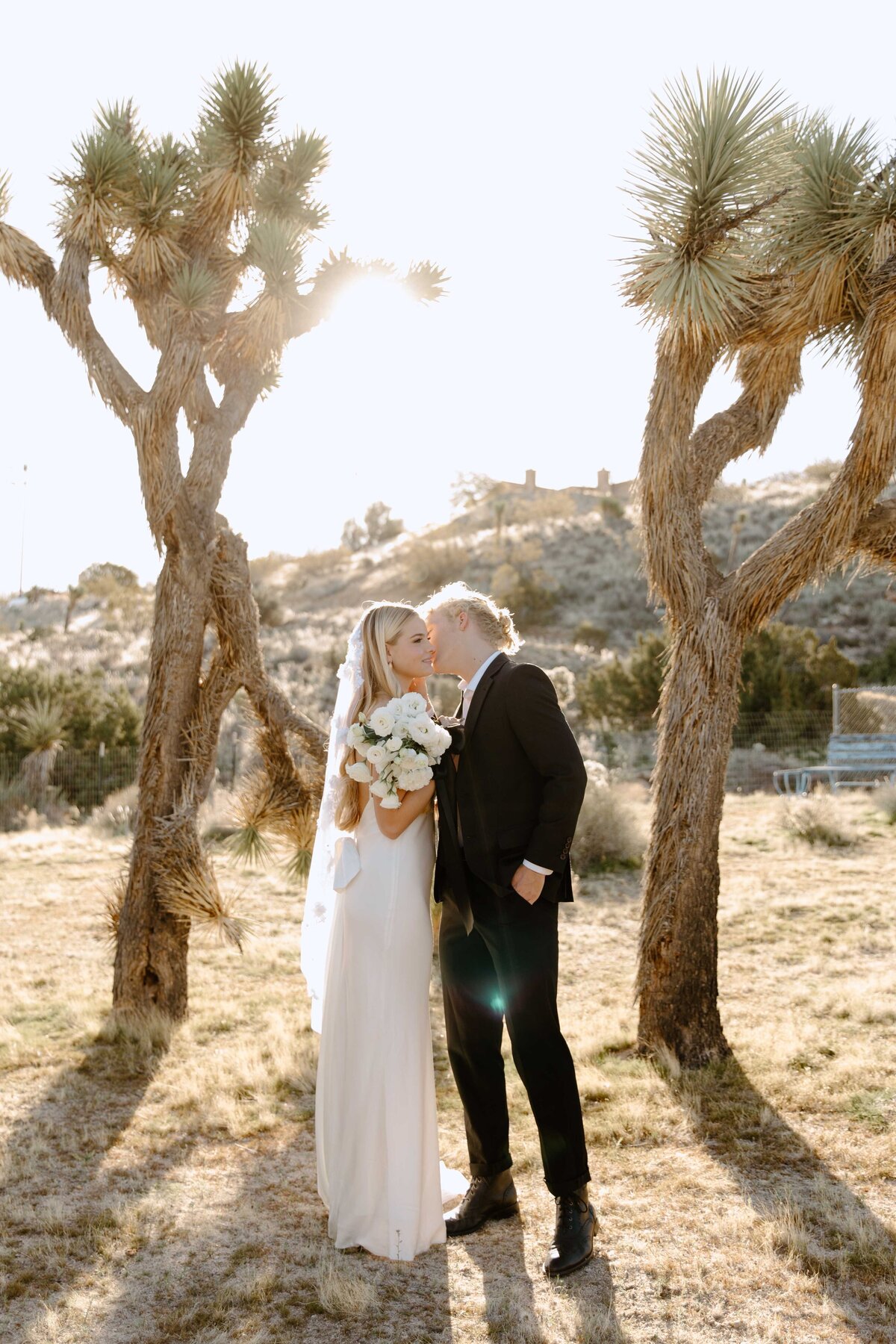 Elegant-Joshua-Tree-Elopement_0858