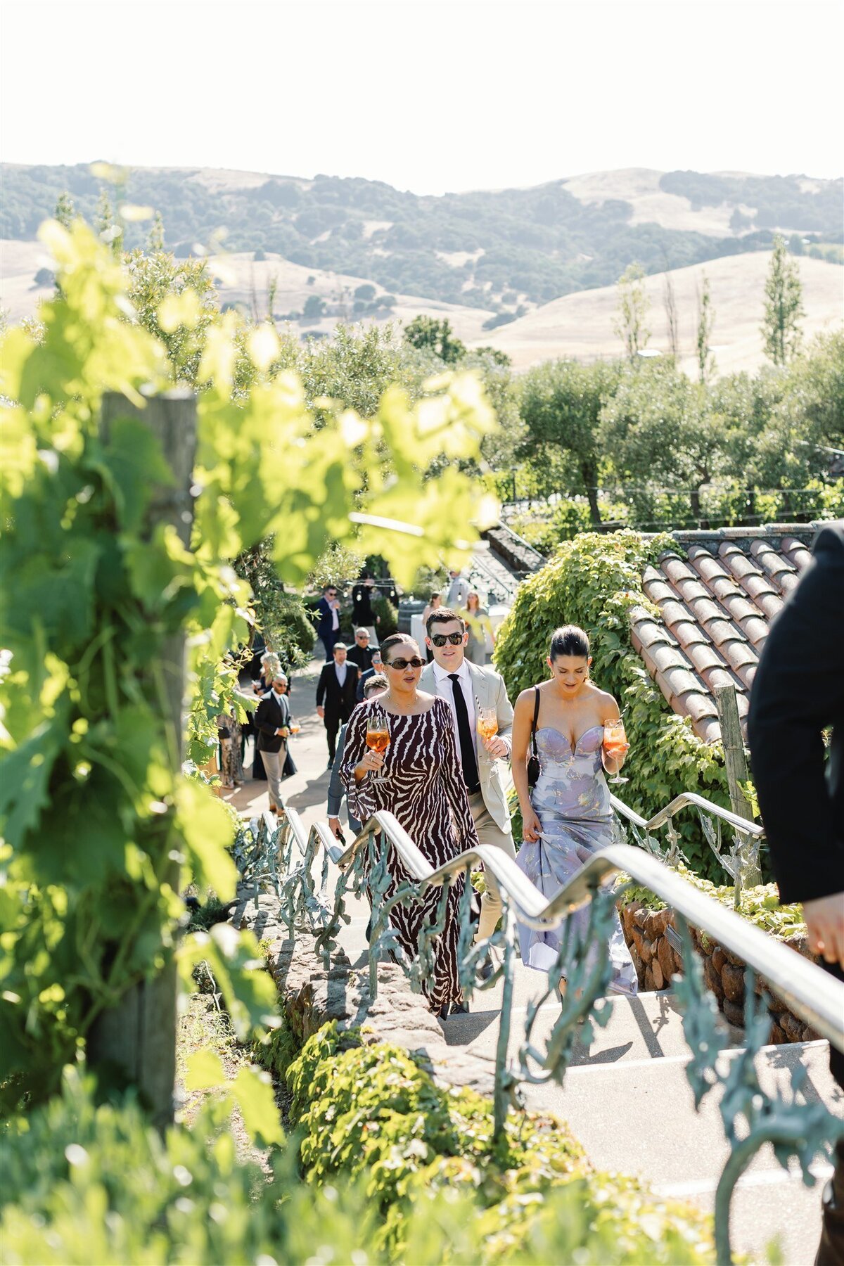 viansa-wedding-sonoma-emma-taylor-ashley-carlascio-photography-0787