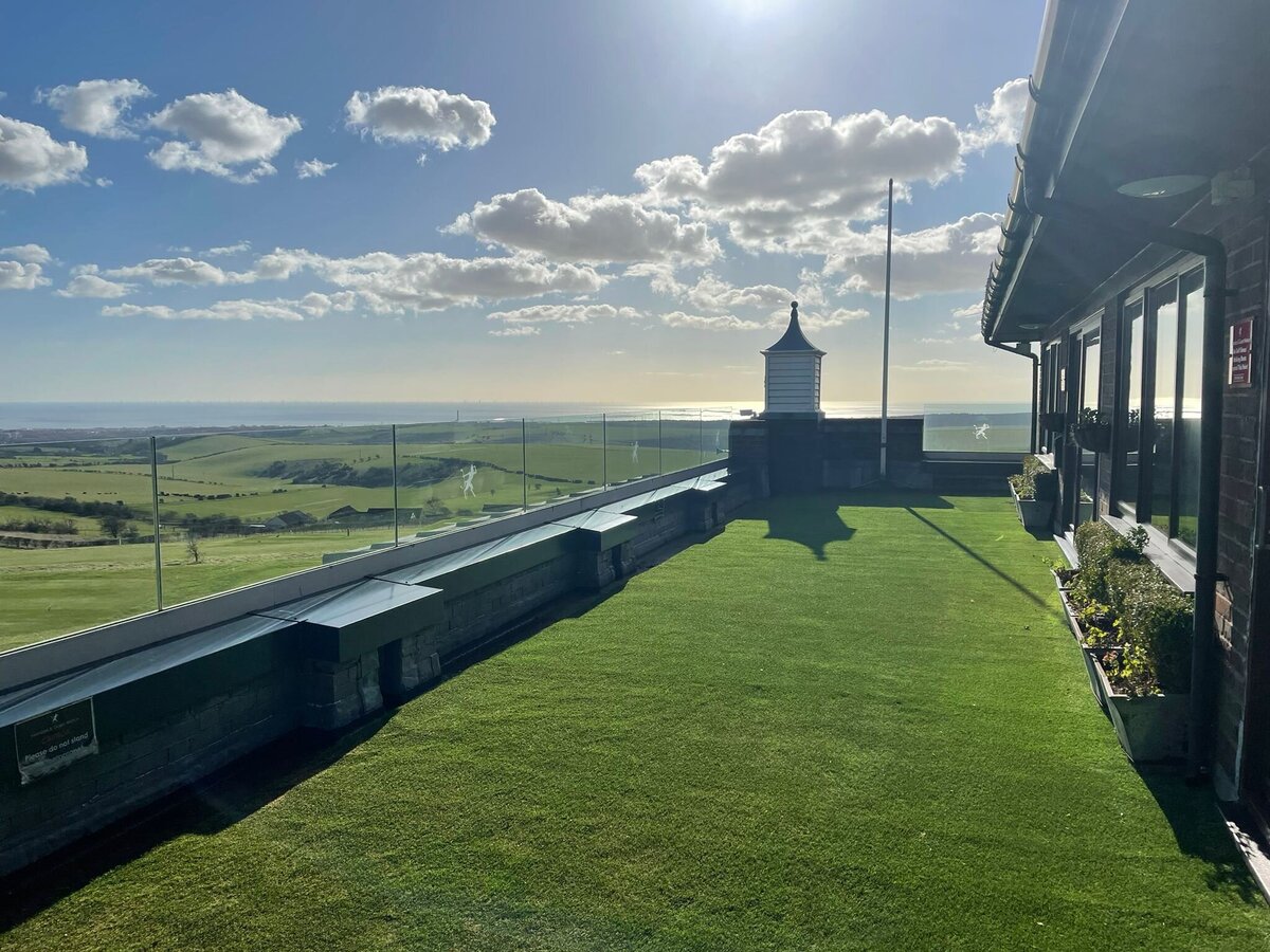 Artificial grass golf club