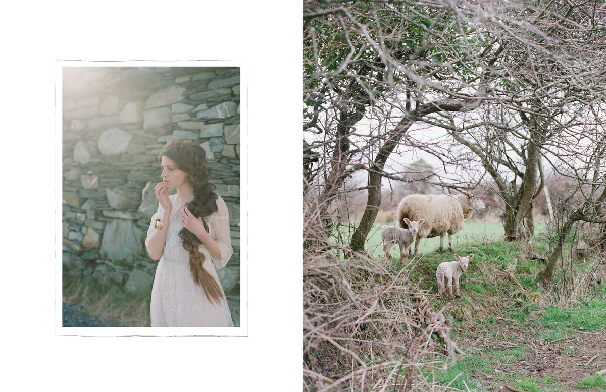 Ireland_Lamb-15