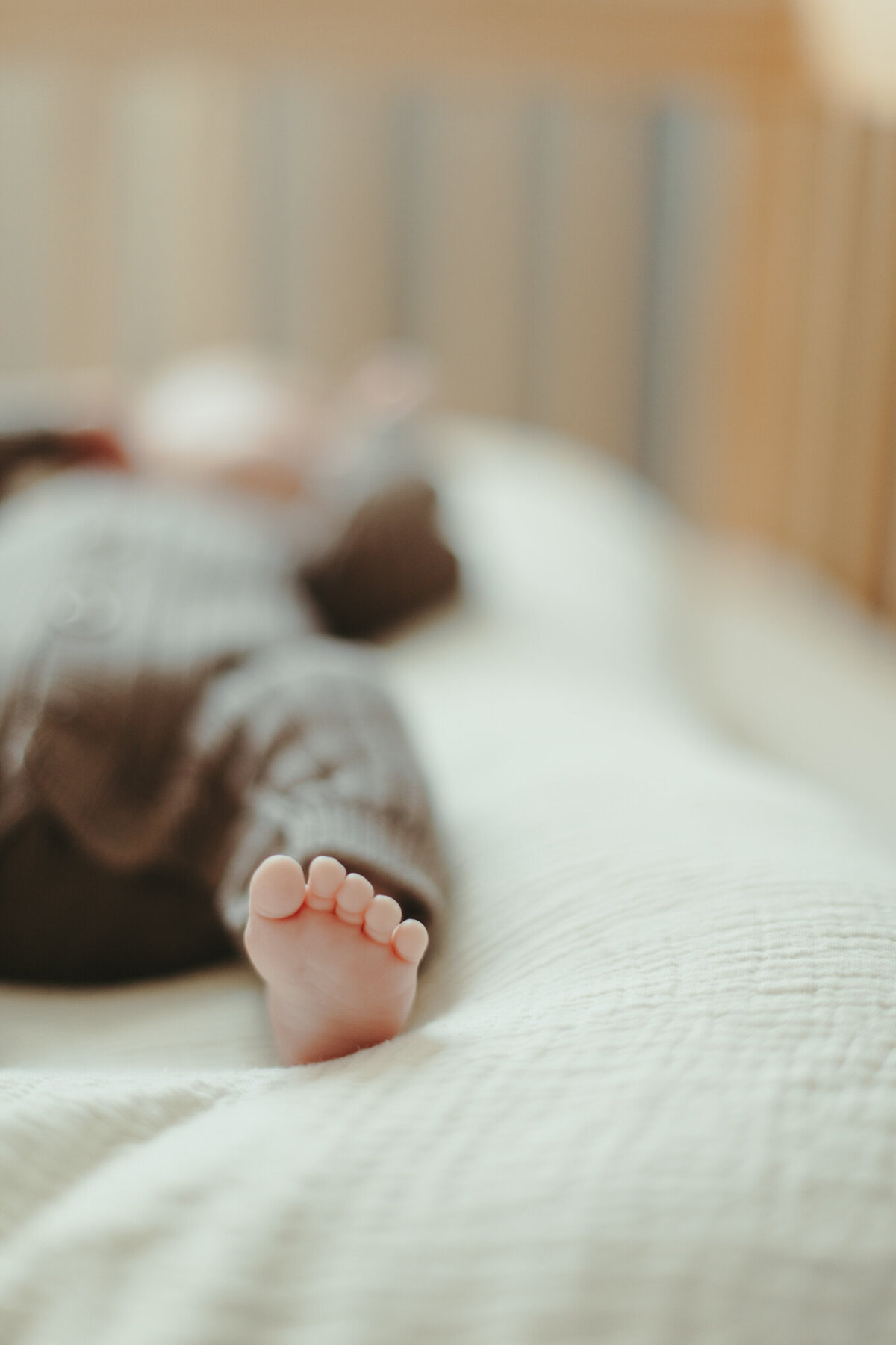 Ellenberg_Newborn-5-2