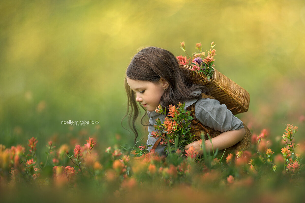 Girl picking wild flowers and Indian paintbrushes in a flower meadow.