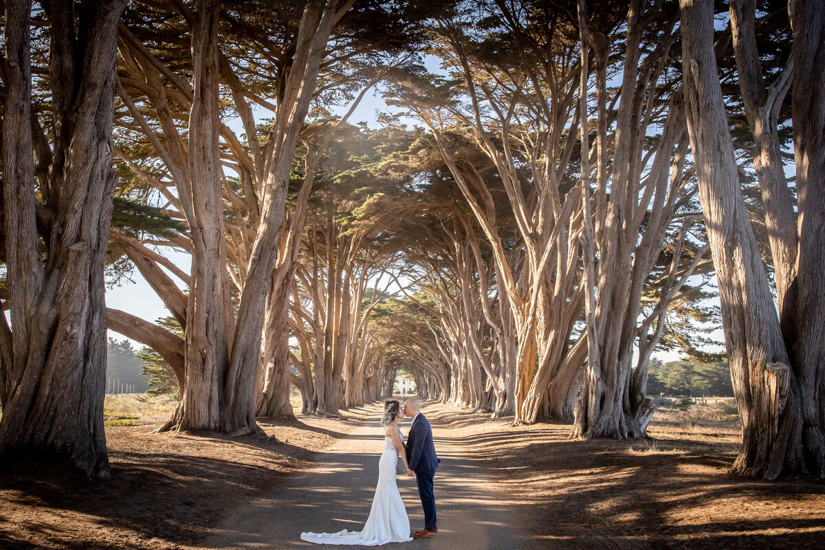 Bride and groom kiss under eucalyptus tunnel