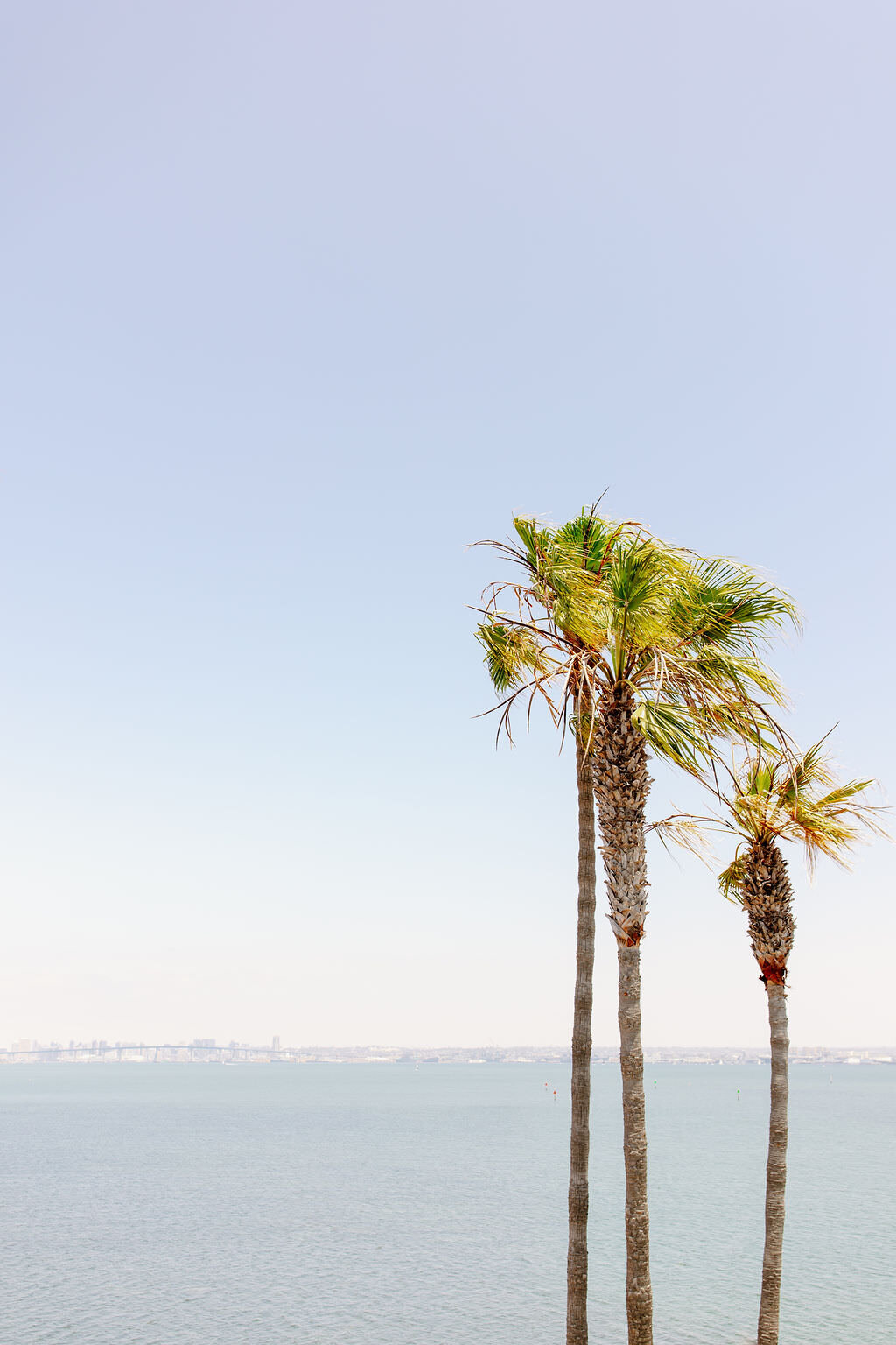 A wedding at the Loews Coronado Bay Resort in Coronado, California - 6
