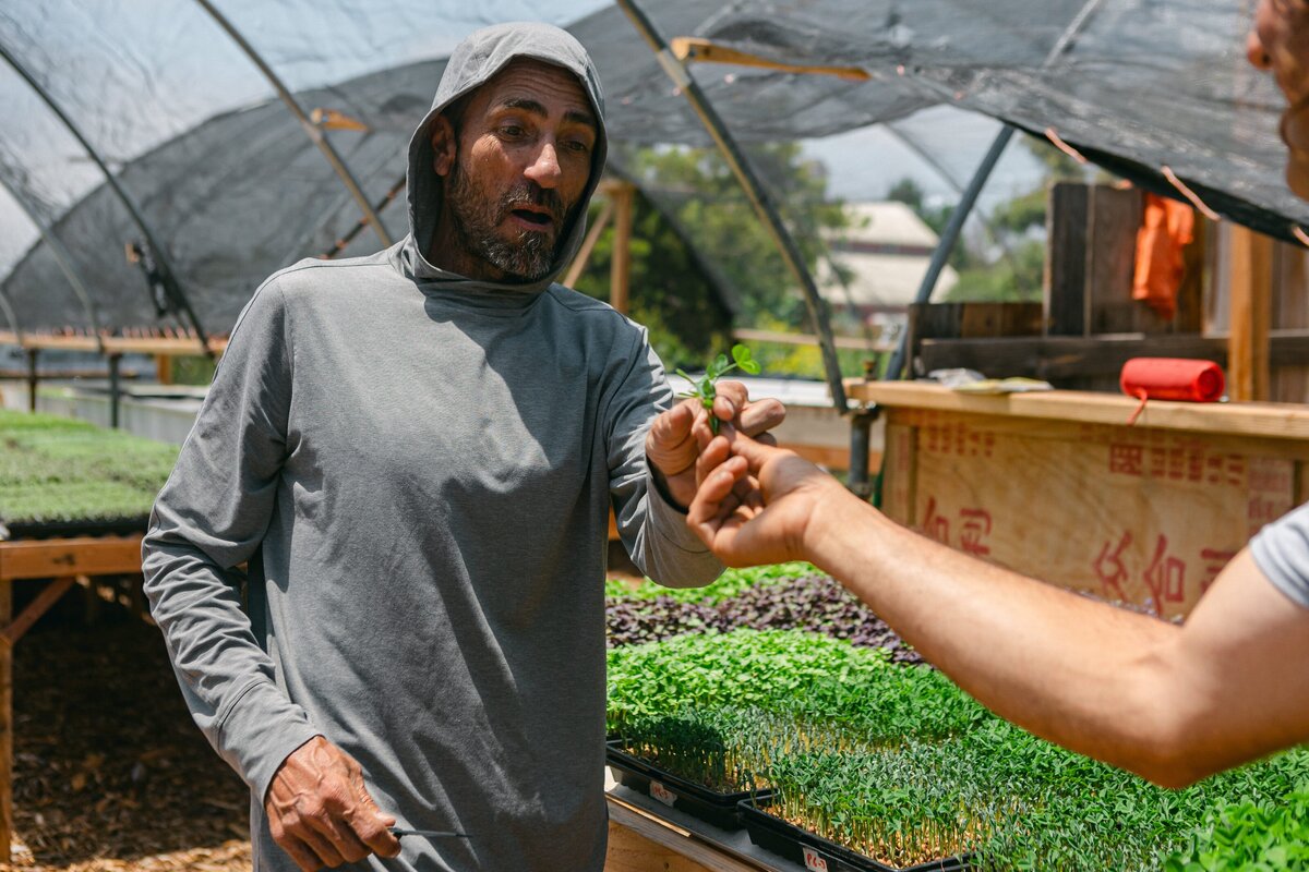 Channel-Islands-Micro-Greens-Local-Farmers-Markets-0040