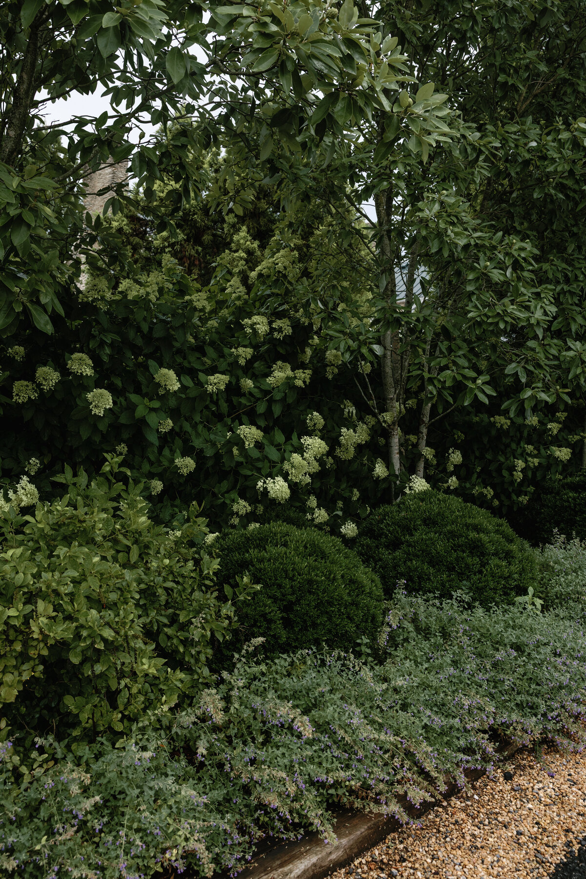 Glenstone Gardens -- Rachel Maloney Photography-102