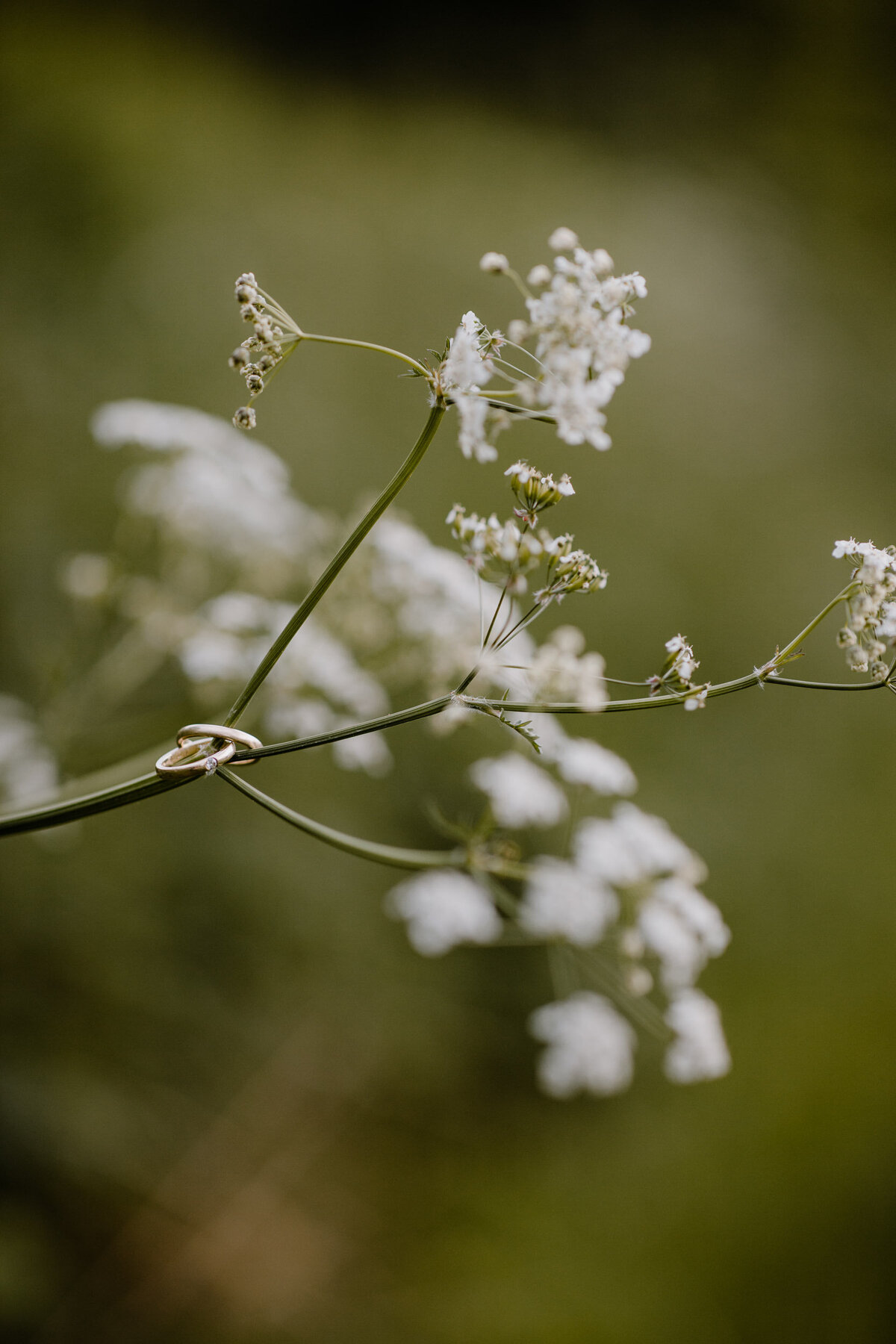 forlovelse_parfoto_charlottechristensen_Risaskogen_Nærbø-08