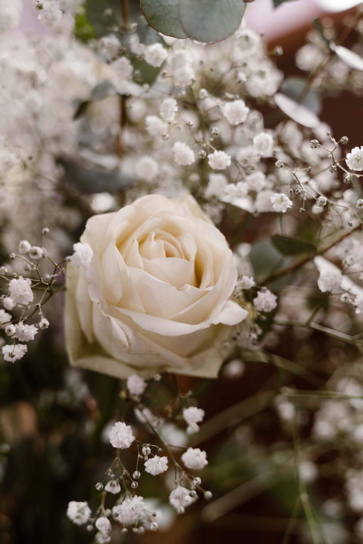MonicaRomanielloPhotography -09527