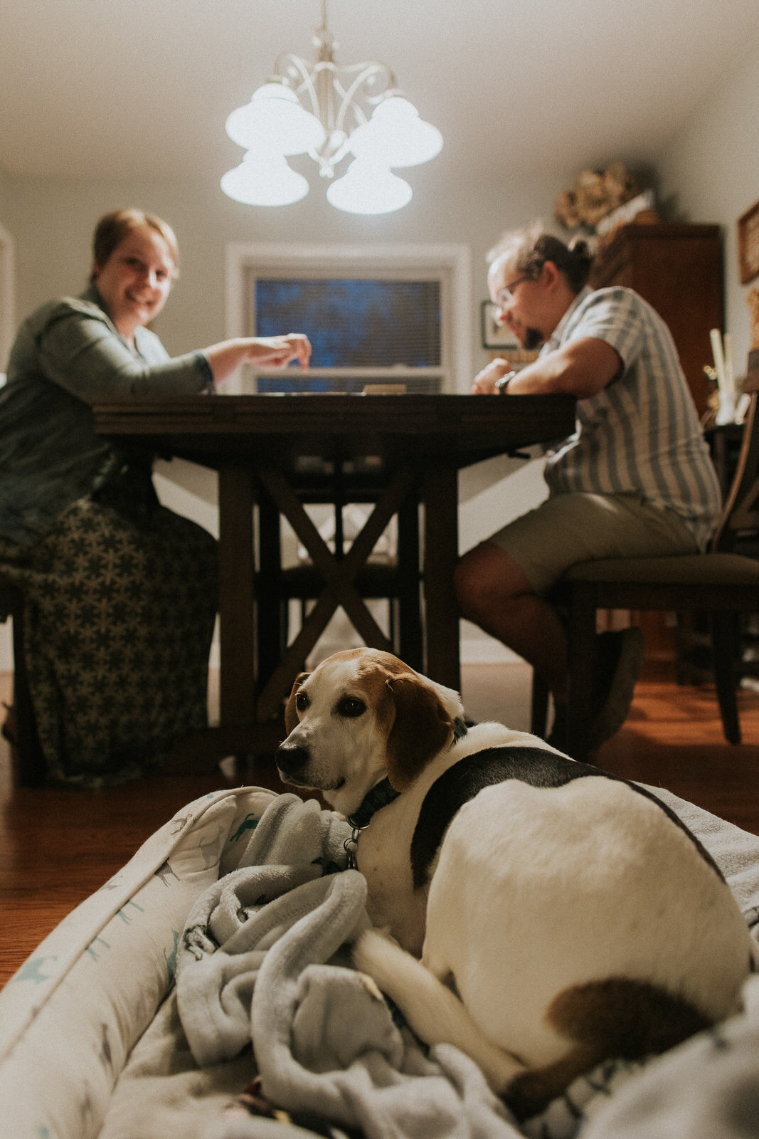 dog-family-photos-illinois-storytelling-emotional-38