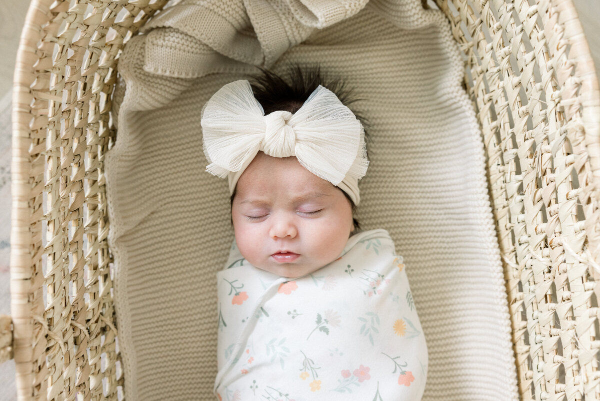 Orange County Newborn Photographer September 13, 202419