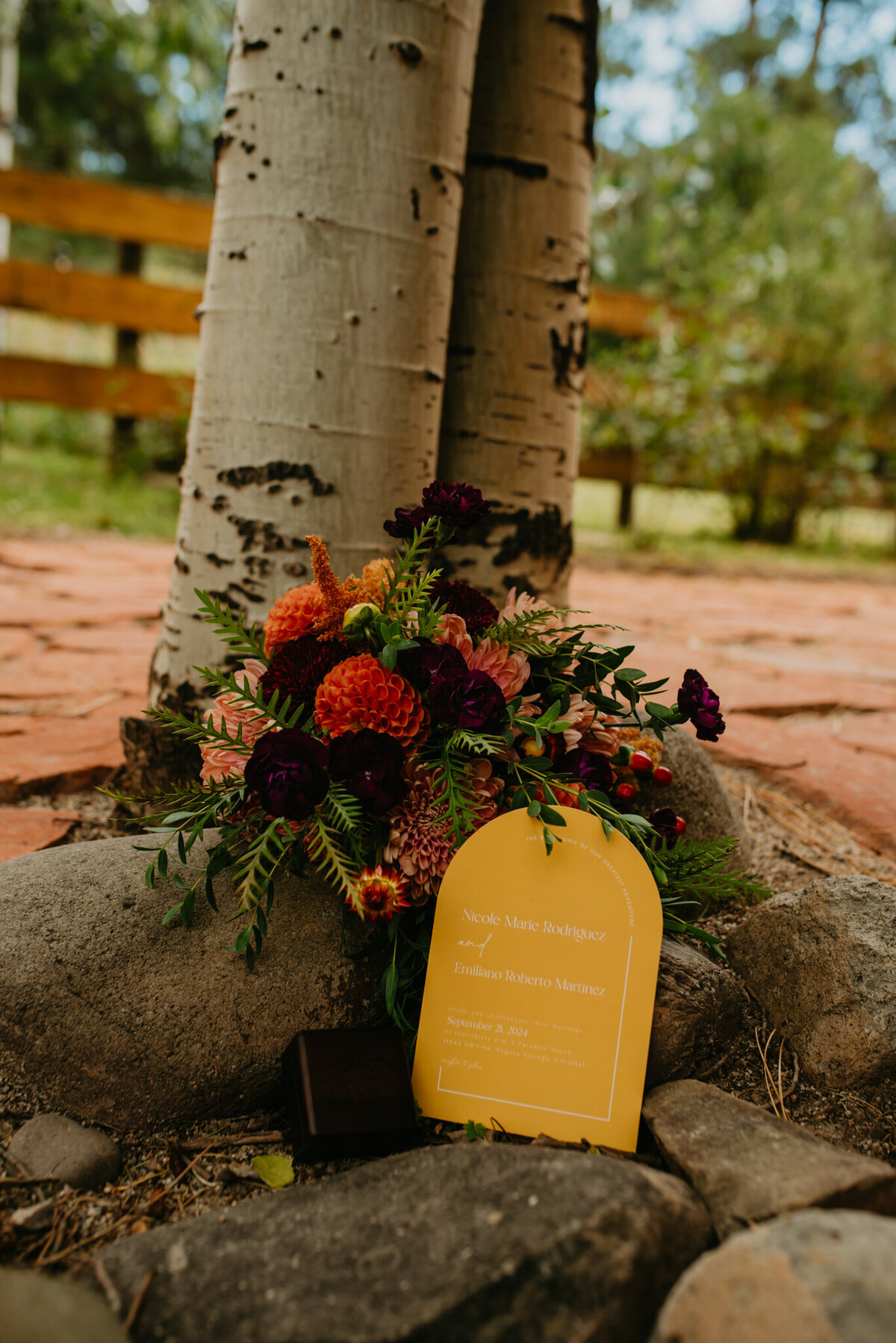 Emiliano + Nicole_Details-25