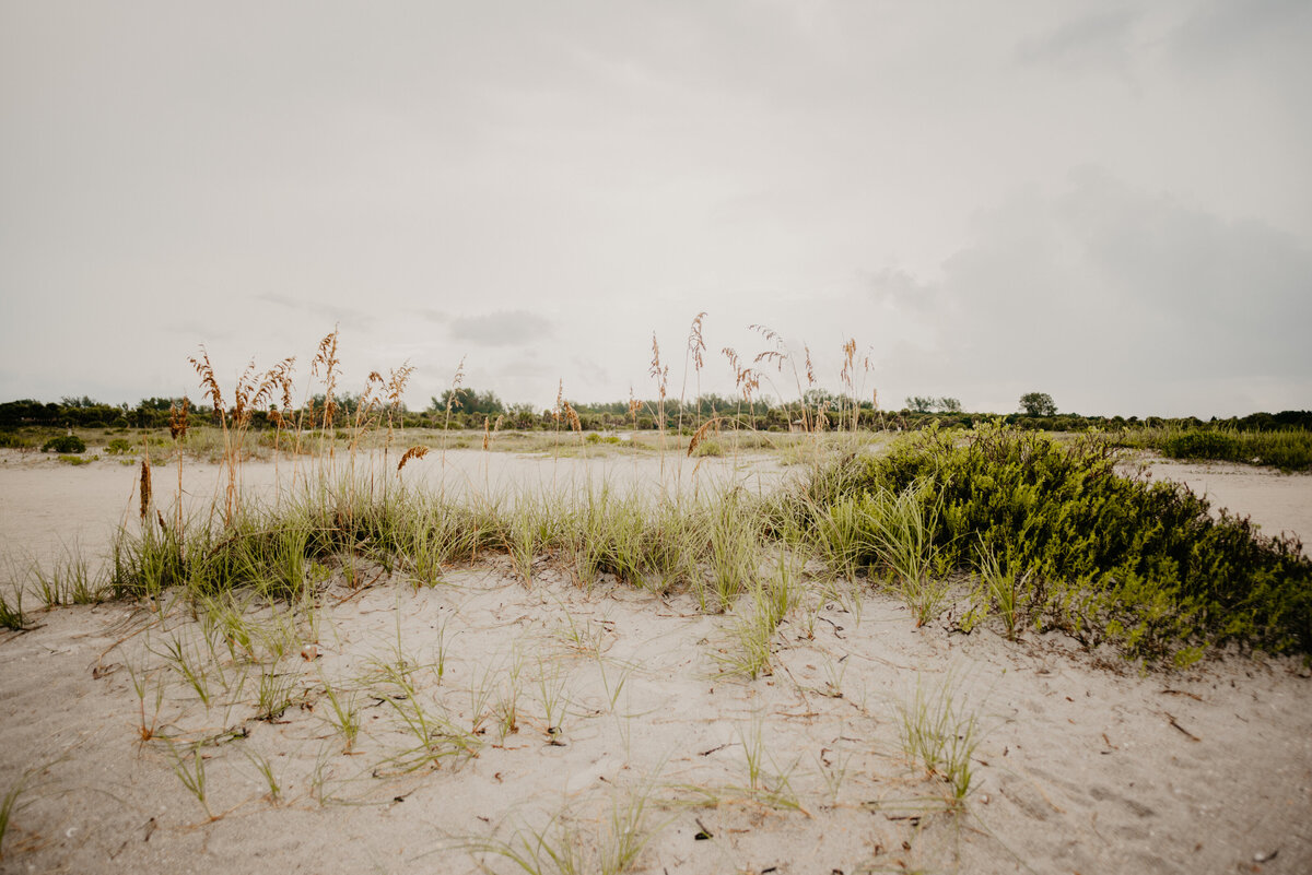 mariah-lacy-photo-sand-key-beach-elopement-chantilly-chic-celebrations-1