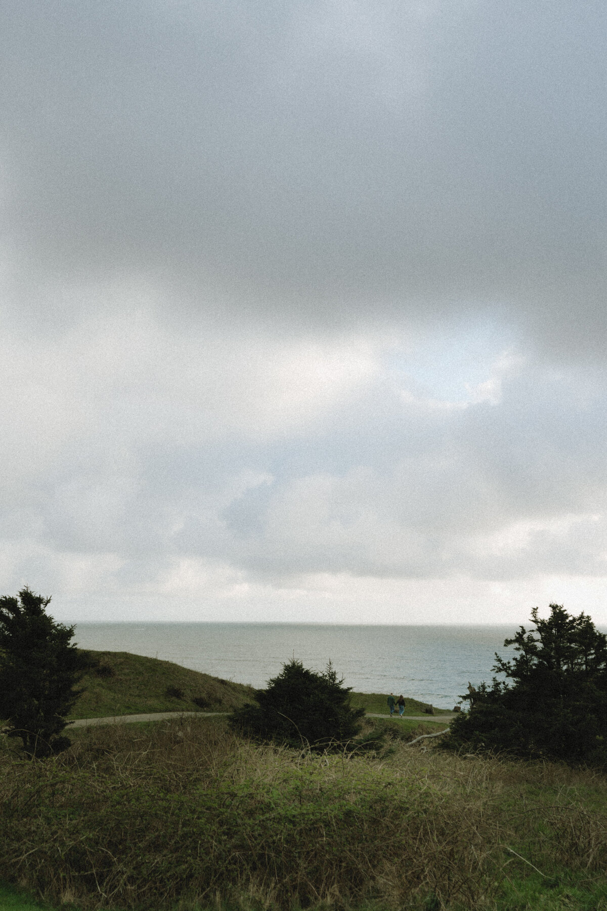 Oregon Coast Couples - lizarrietaphotography-1