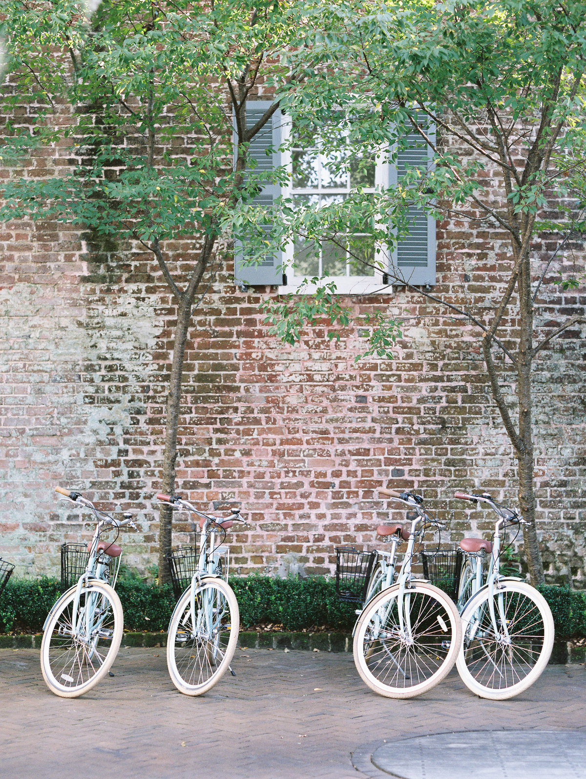 Charleston Engagement Photoshoot The Mills-13