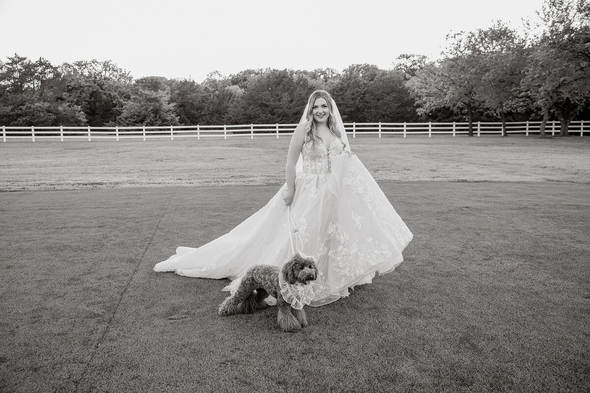 bridal with dog