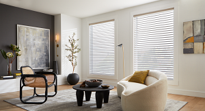 Alta sheer shadings modern