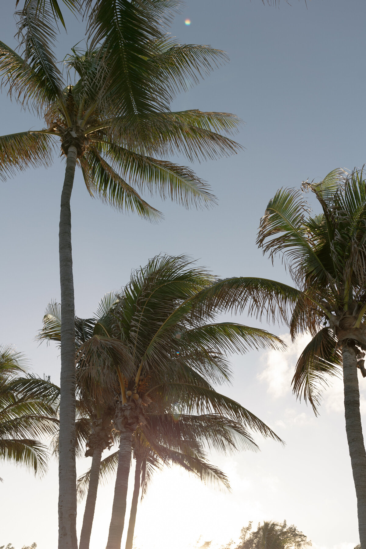 Palm Beach Jupiter Vero Beach wedding planner wedding design wedding coordination Florida wedding full service wedding planner full service wedding management South Florida wedding classic wedding design private club wedding-54