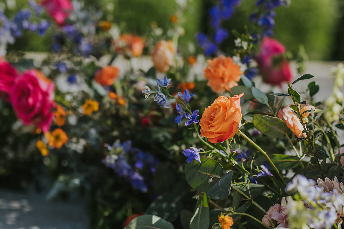 orange and pink roses installation