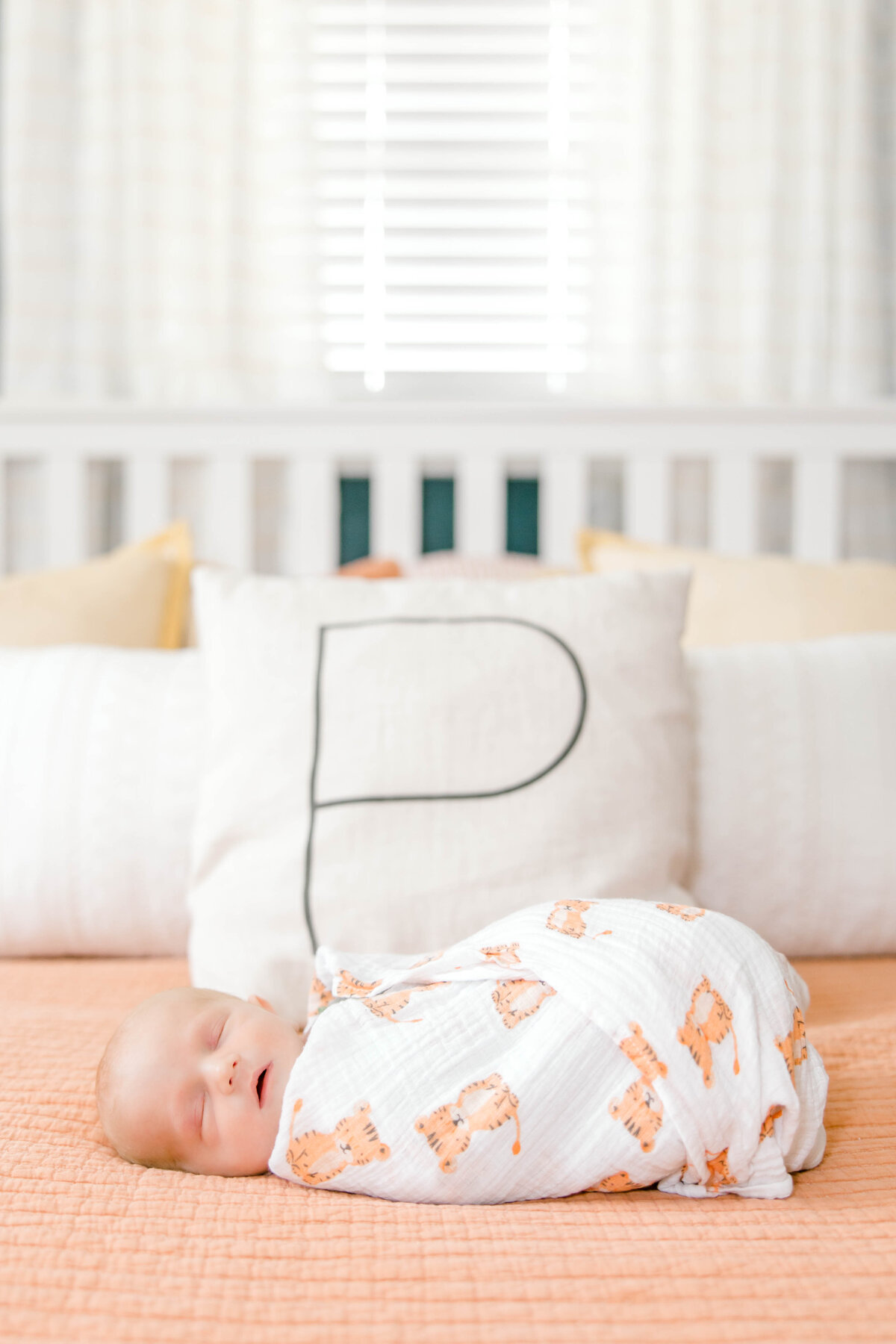 Powell Newborn-54
