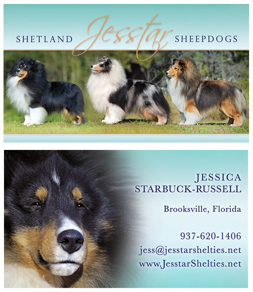 jesstar-cards