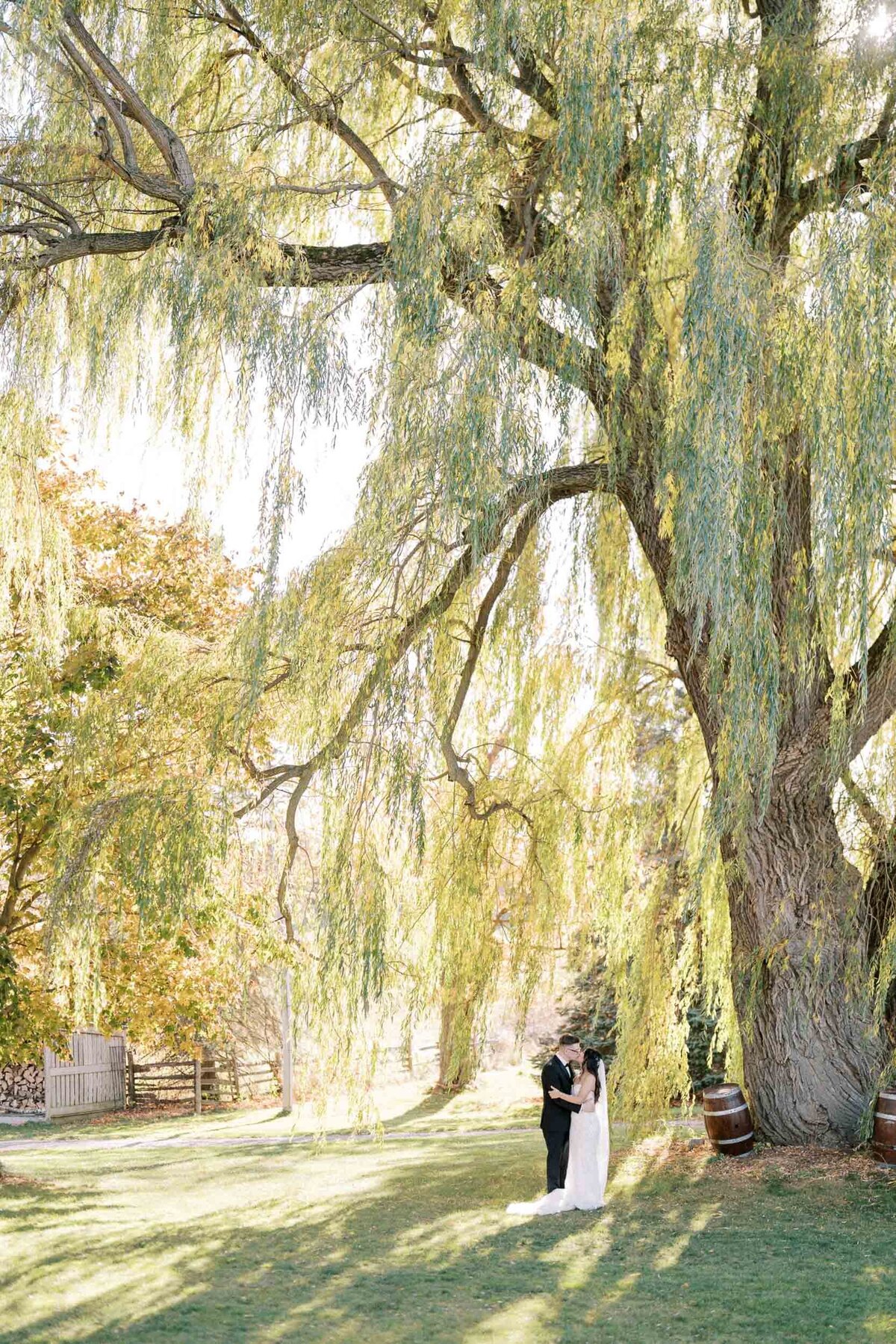 W11-Wedding-Photos-Caledon-Valley-Estate-Eleanor-and-Michael-2024-11-02-2500px-1088
