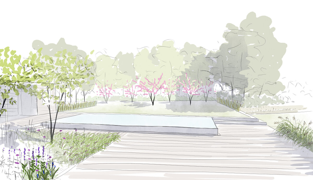 Sketch of a garden with trees opening onto a terrace and swimming pool