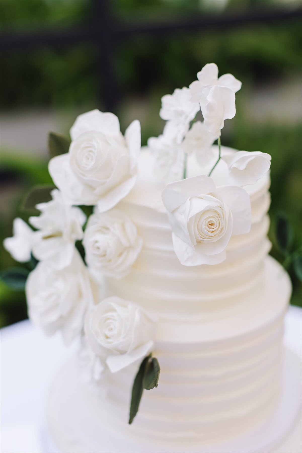 park-winters-wedding-shauna-clay-ashley-carlascio-photography-0417