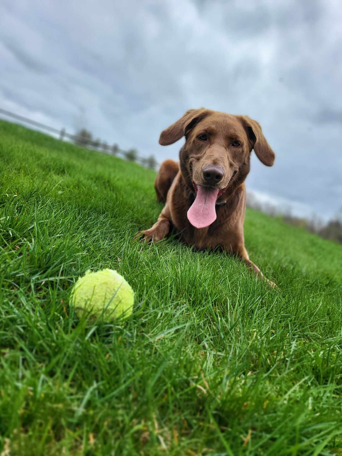 Penny ball