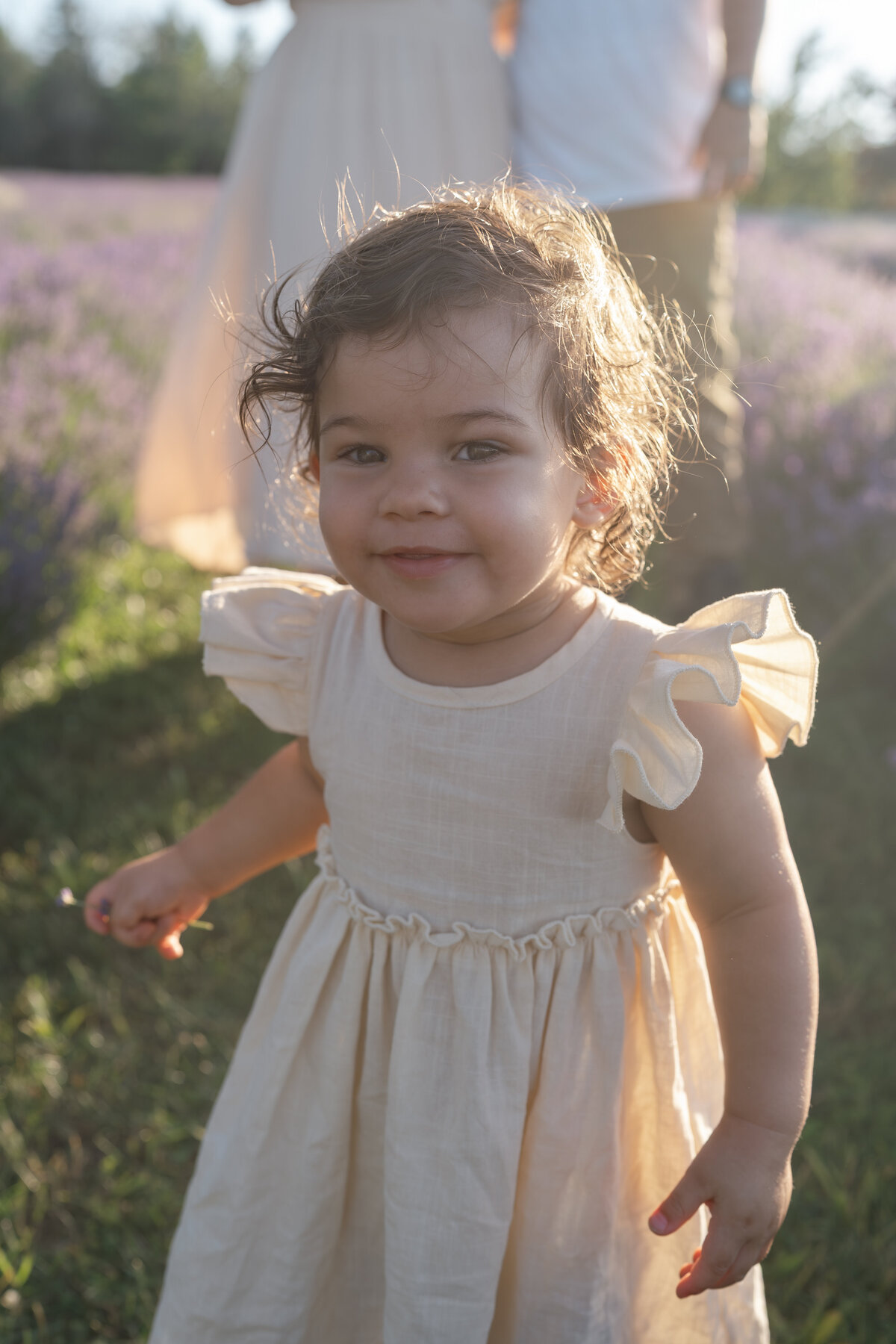 Lavender Minis - Jasmine-15