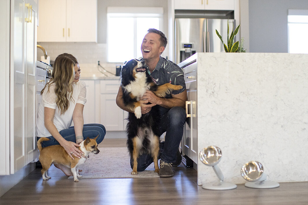 dog business photos 5